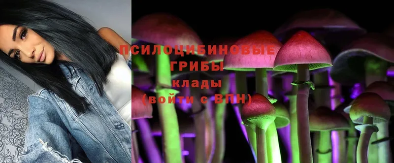 Галлюциногенные грибы Magic Shrooms  Адыгейск 